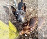 Small #12 Breeder Profile image