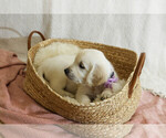 Small #34 Breeder Profile image