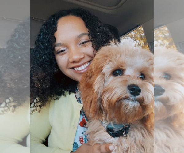 Medium Photo #1  Breeder Profile in HOUMA, LA, USA