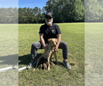 Small #4 Breeder Profile image