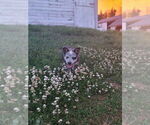 Small #10 Breeder Profile image