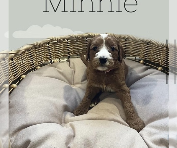 Medium Photo #5  Breeder Profile in LA GRANGE, KY, USA