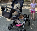 Small #37 Breeder Profile image