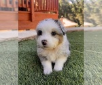 Small #10 Breeder Profile image