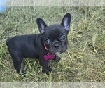 Small #3 Breeder Profile image