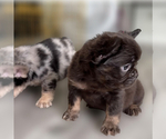 Small #9 Breeder Profile image
