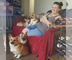 Small breeder photo