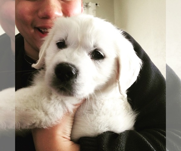 Medium Photo #1  Breeder Profile in GRANTS PASS, OR, USA