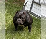 Small #8 Breeder Profile image