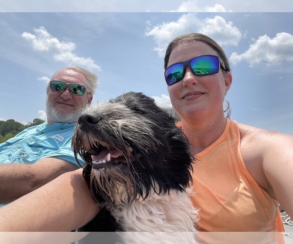 Medium Photo #1  Breeder Profile in BAYTOWN, TX, USA