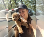 Small #10 Breeder Profile image