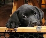 Small #3 Breeder Profile image