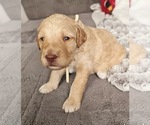 Small #6 Breeder Profile image