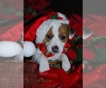Small #16 Breeder Profile image