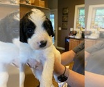 Small #7 Breeder Profile image