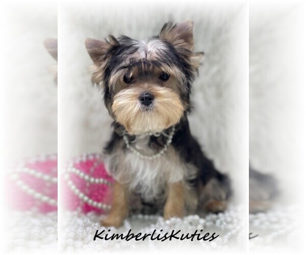 Medium Photo #12  Breeder Profile in LIPAN, TX, USA