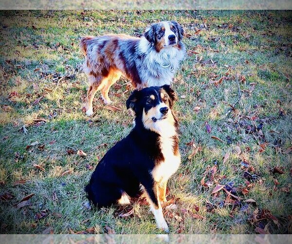 Medium Photo #1  Breeder Profile in NEWARK, DE, USA