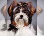 Small #4 Breeder Profile image