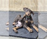 Small #17 Breeder Profile image