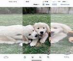 Small #1 Breeder Profile image