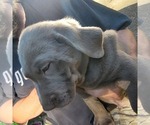 Small #3 Breeder Profile image