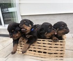 Small #2 Breeder Profile image
