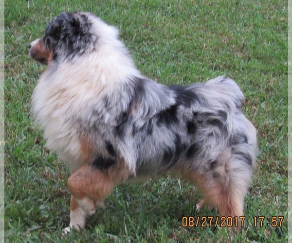 Medium Photo #1  Breeder Profile in EDDYVILLE, KY, USA