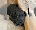 Small #2 Breeder Profile image