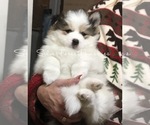 Small #19 Breeder Profile image