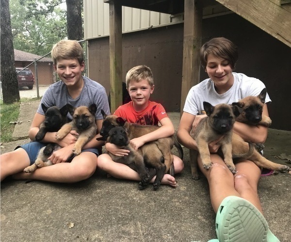 Medium Photo #4  Breeder Profile in THAYER, MO, USA