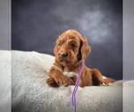 Small #7 Breeder Profile image