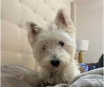 Small #7 Breeder Profile image