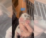 Small #3 Breeder Profile image