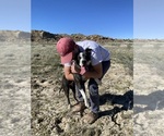 Small #10 Breeder Profile image