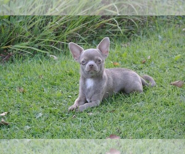 Medium Photo #4  Breeder Profile in WISTER, OK, USA