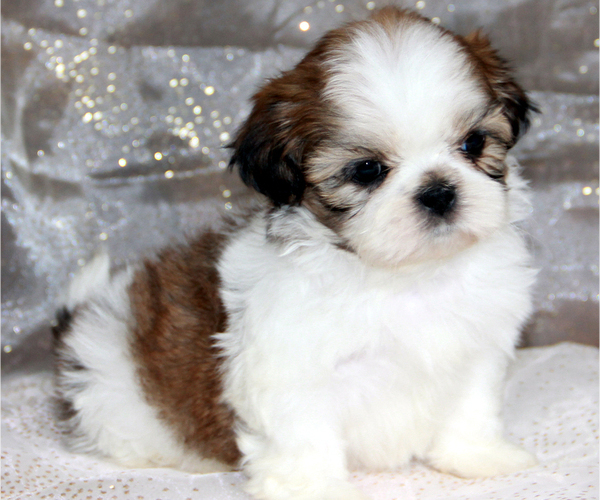 Medium Photo #3  Breeder Profile in Walworth, NY, USA