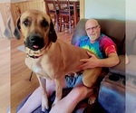 Small #19 Breeder Profile image