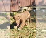 Small #21 Breeder Profile image