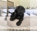 Small #13 Breeder Profile image