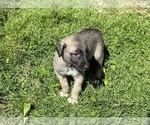 Small #3 Breeder Profile image