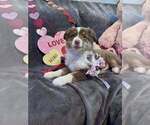 Small #22 Breeder Profile image