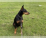 Small #5 Breeder Profile image