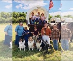 Small #8 Breeder Profile image