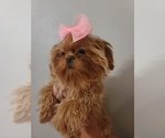 Small #18 Breeder Profile image