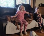 Small Photo #23  Breeder Profile in ALBA, TX, USA