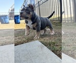 Small #2 Breeder Profile image