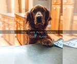 Small #2 Breeder Profile image