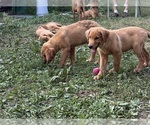 Small #9 Breeder Profile image