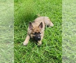 Small #25 Breeder Profile image