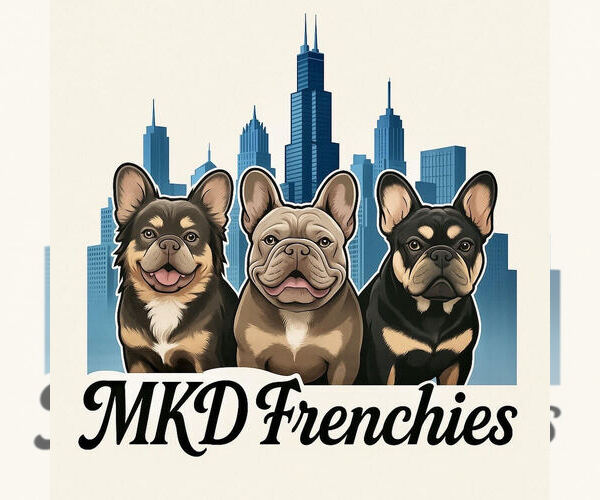 Medium Photo #1  Breeder Profile in PALATINE, IL, USA